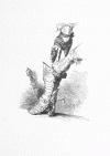 S. 49, Abb. 1