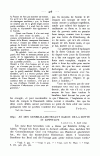 S. 478, Obj. 2