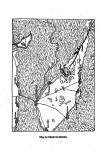 S. 77