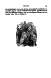 S. 203