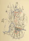 S. uc_s8, Abb. 1