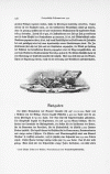 S. 128, Obj. 2