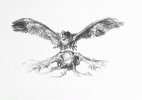 S. 264, Abb. 1