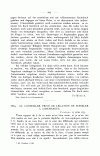 S. 207
