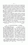 S. 275