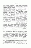 S. 52, Obj. 2