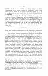 S. 303