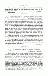 S. 29