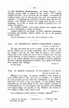 S. 305, Obj. 2