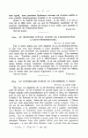 S. 7, Obj. 2
