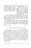 S. 381