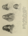S. uc_p13, Abb. 1