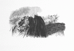 S. 478, Abb. 1